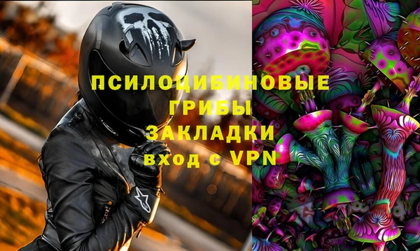 ПСИЛОЦИБИНОВЫЕ ГРИБЫ Михайловск