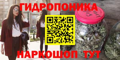 a pvp Заволжье
