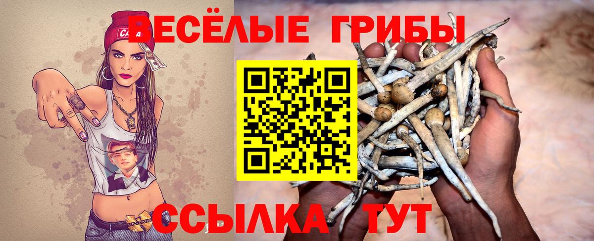 Псилоцибиновые грибы ЛСД  где купить наркоту  Галлюциногенные грибы мухоморы  Клинцы 