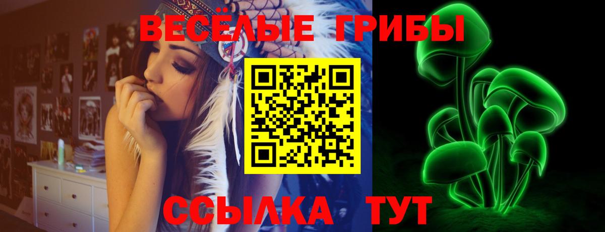 Клинцы  Псилоцибиновые грибы MAGIC MUSHROOMS  Вход с VPN 